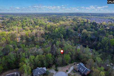 145 Autumn Oaks Lane Lexington SC 29073