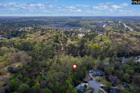 145 Autumn Oaks Lane Lexington SC 29073