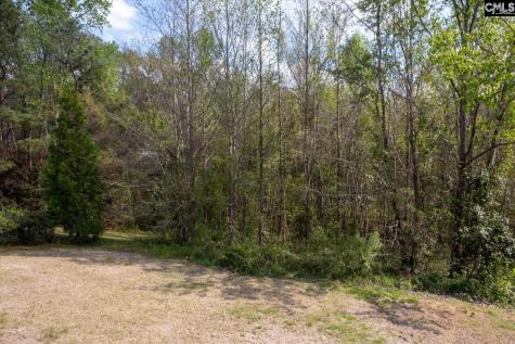 145 Autumn Oaks Lane Lexington SC 29073