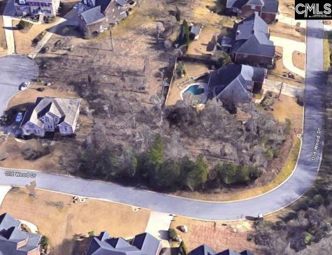 338 Old Wood Drive Columbia SC 29212