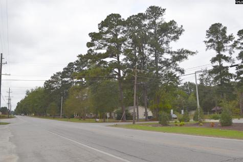 301 & 305 W Church Street Batesburg SC 29006