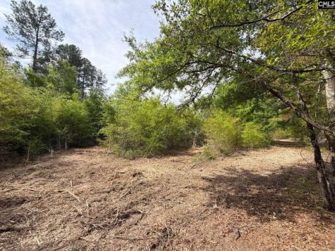 Rrf 3 Rogers Cemetery Road Salley SC 29137