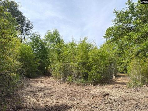 Rrf 3 Rogers Cemetery Road Salley SC 29137
