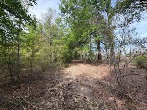 Rrf 3 Rogers Cemetery Road Salley SC 29137