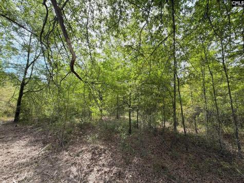 Rrf 3 Rogers Cemetery Road Salley SC 29137