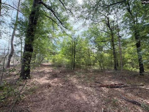 Rrf 3 Rogers Cemetery Road Salley SC 29137