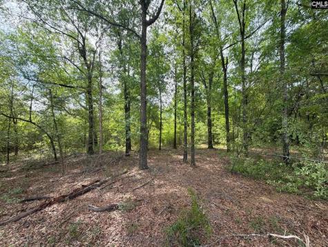 Rrf 3 Rogers Cemetery Road Salley SC 29137