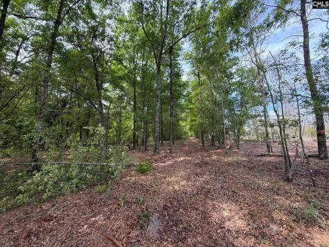 Rrf 3 Rogers Cemetery Road Salley SC 29137