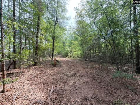 Rrf 3 Rogers Cemetery Road Salley SC 29137