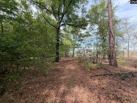 Rrf 3 Rogers Cemetery Road Salley SC 29137