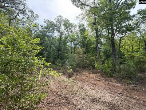 Rrf 3 Rogers Cemetery Road Salley SC 29137