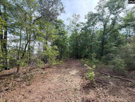 Rrf 3 Rogers Cemetery Road Salley SC 29137