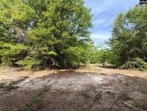 Rrf 3 Rogers Cemetery Road Salley SC 29137