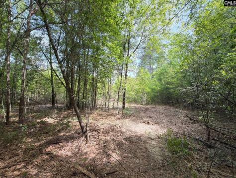 Rrf 3 Rogers Cemetery Road Salley SC 29137