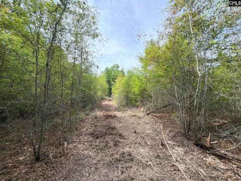 Rrf 3 Rogers Cemetery Road Salley SC 29137