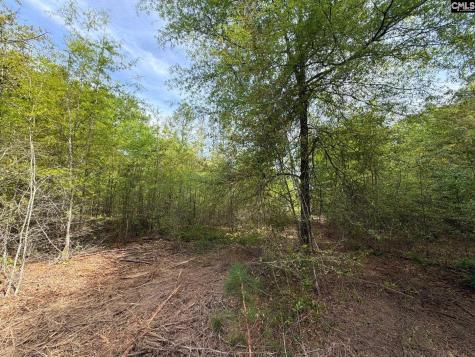 Rrf 3 Rogers Cemetery Road Salley SC 29137