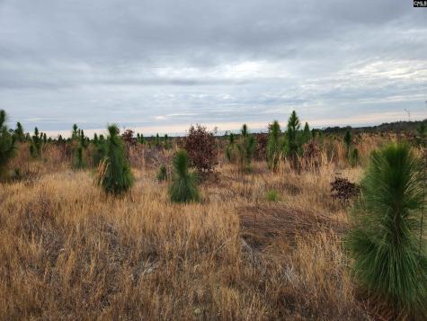 Tract 23 Holland Lane Camden SC 29020