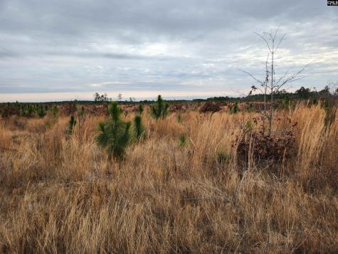 Tract 23 Holland Lane Camden SC 29020