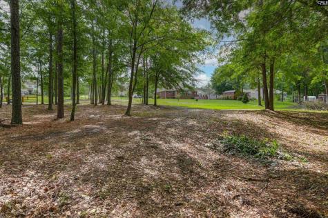 120 Living Waters Boulevard Lexington SC 29073