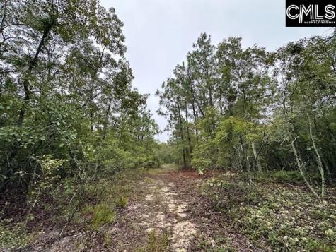 P/o 1375 Fallaw Road Gaston SC 29053