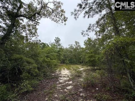 P/o 1375 Fallaw Road Gaston SC 29053