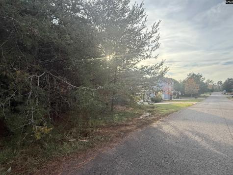 10153 Lakeshore Drive Lancaster SC 29720-8917