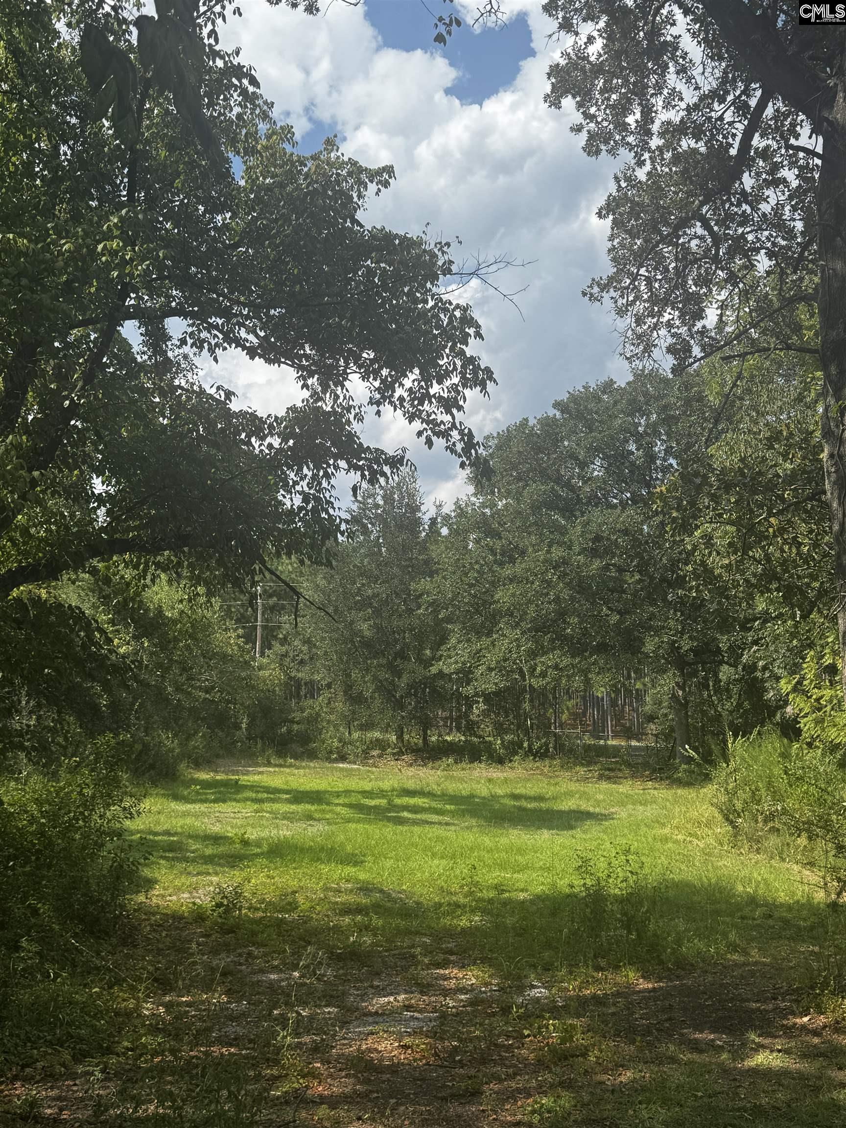 116 Rob Teal Road Patrick SC 29584