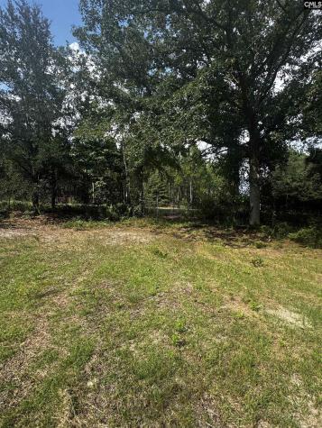116 Rob Teal Road Patrick SC 29584