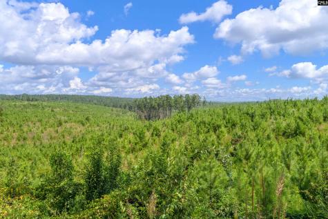 0000 Hwy 215 3 Jenkinsville SC 29065