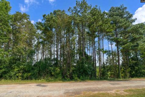 0000 Hwy 215 3 Jenkinsville SC 29065