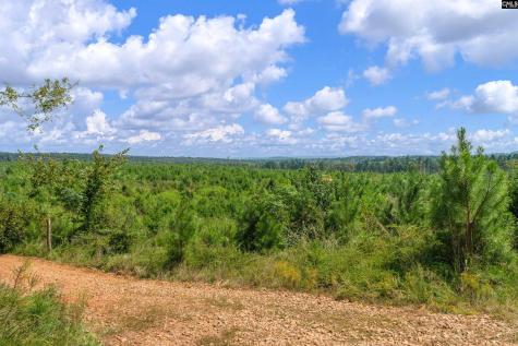 0000 Hwy 215 3 Jenkinsville SC 29065