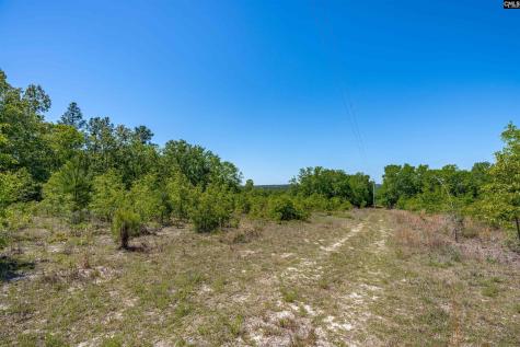 Tbd Mack Street Gaston SC 29053