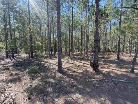 Kf 9 Providence Road Kf 9 Kershaw SC 29067