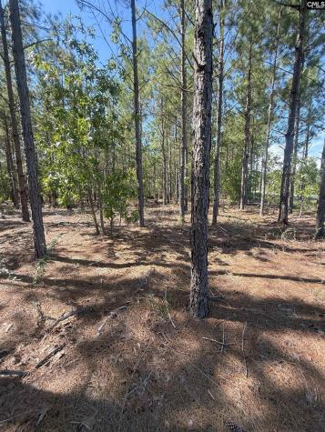 Kf 9 Providence Road Kf 9 Kershaw SC 29067