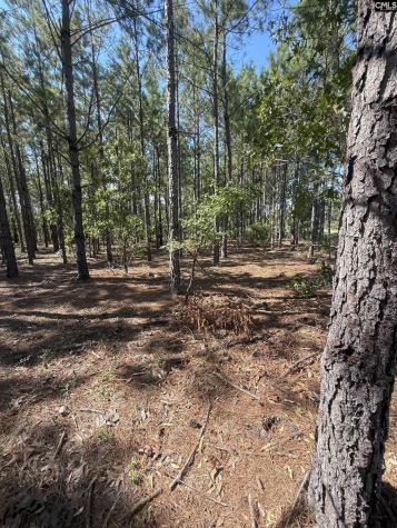 Kf 9 Providence Road Kf 9 Kershaw SC 29067