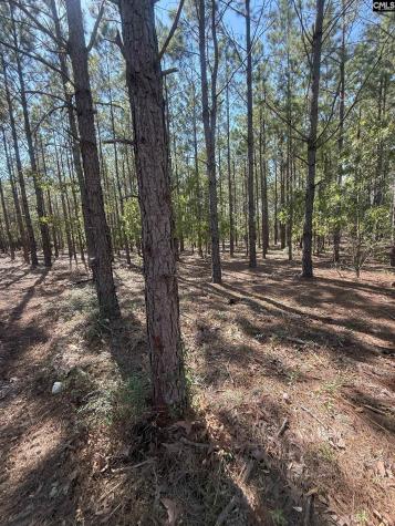 Kf 9 Providence Road Kf 9 Kershaw SC 29067