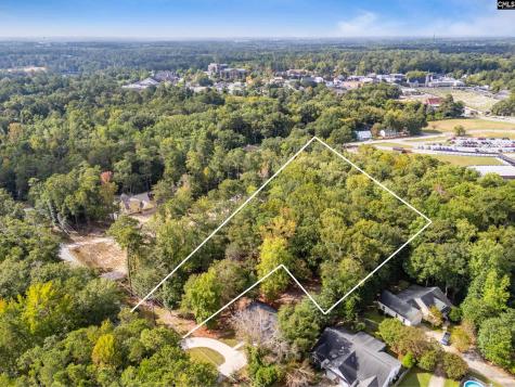 0 Harmon Street Lexington SC 29072