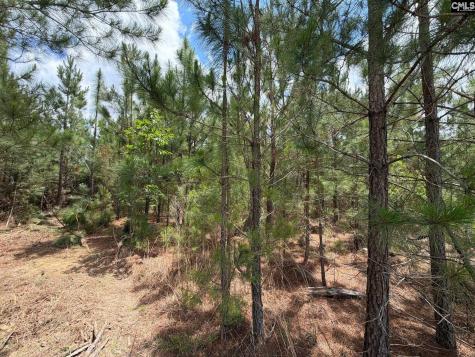Mpf 5 Mt. Pisgah Road Jefferson SC 29718