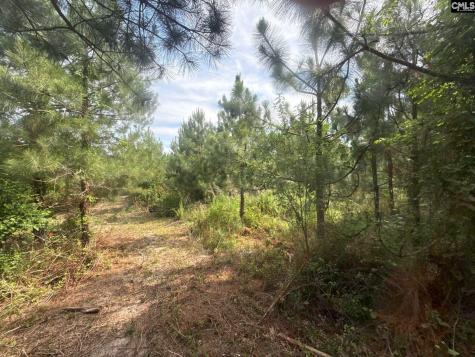 Mpf 5 Mt. Pisgah Road Jefferson SC 29718