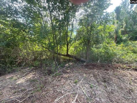 Mpf 5 Mt. Pisgah Road Jefferson SC 29718