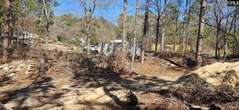 257 Irvin Jumper Road Gaston SC 29053