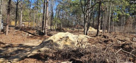 257 Irvin Jumper Road Gaston SC 29053