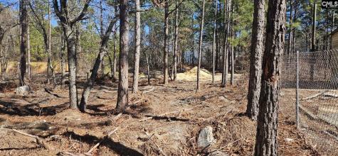 257 Irvin Jumper Road Gaston SC 29053
