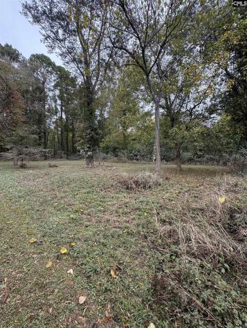 157 Wild Turkey Lane Camden SC 29020