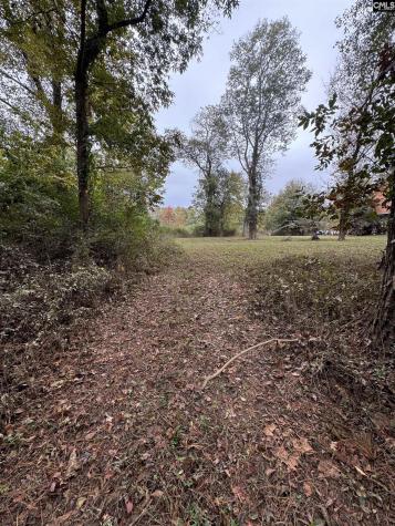 157 Wild Turkey Lane Camden SC 29020
