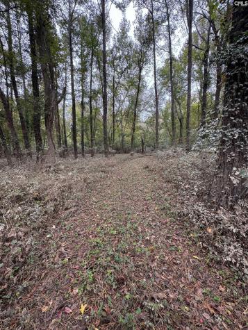 157 Wild Turkey Lane Camden SC 29020