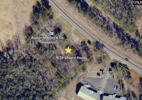 417B Chapin Road Chapin SC 29036