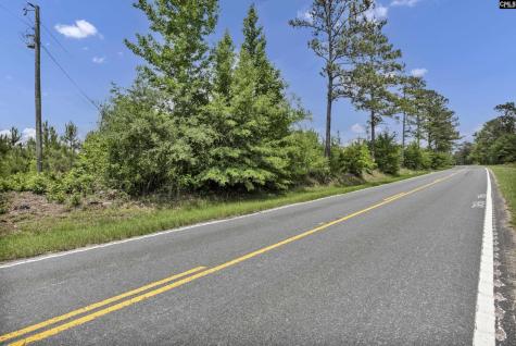 Na Bull Swamp North SC 29112