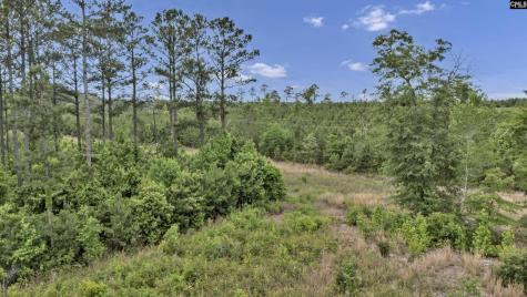 Na Bull Swamp North SC 29112