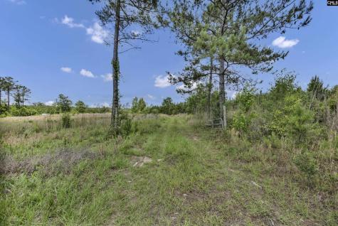 Na Bull Swamp North SC 29112